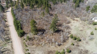 TBD Lot 1A Welcome Way, Spearfish, SD 57783 - photo 5