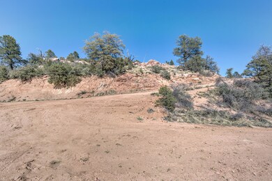 501 N Mud Springs Rd, Payson, AZ 85541 - photo 6