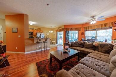 710 Aqua Marine Blvd unit 29, Avon Lake, OH 44012 - photo 5