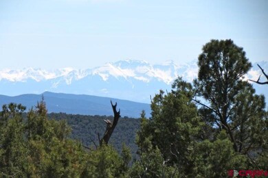 0 NE Ginters Grove Ln unit 703702, Cedaredge, CO 81413 - photo 4