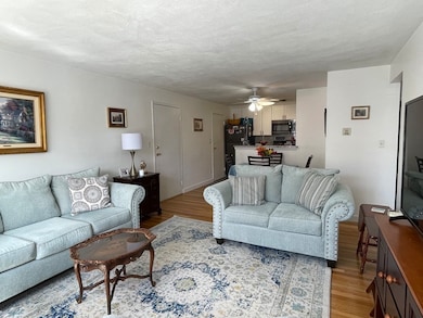 32 Whitman Rd unit 1-2, Waltham, MA 02453 - photo 7