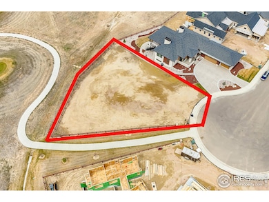 3795 Tall Grass Ct, Timnath, CO 80547 - photo 6