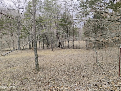 IMG_20250307_123331482_HDR_AE
