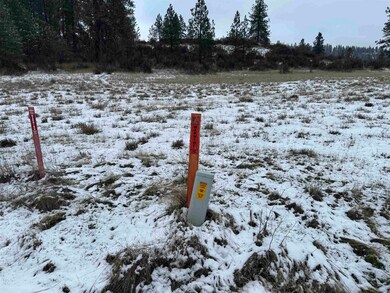 31445 Hume Rd, Davenport, WA 99122 - photo 6