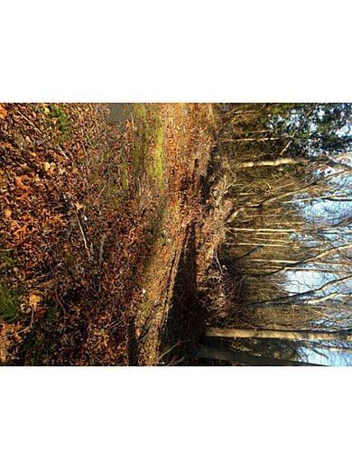 Land.