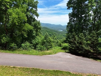 Lot 10 Hidden Summit Rd, Hiawassee, GA 30546 - photo 7