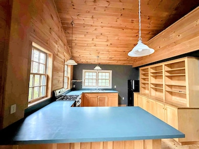 63 Big Story Ln, Grafton, VT 05146 - photo 7