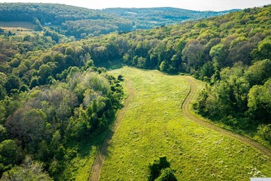 926 Old Route 22, Millerton, NY 12546 - photo 4