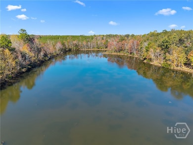 2001 Tru Fail Crossing Rd, Garfield, GA 30425 - photo 4