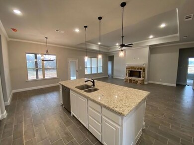 1016 Laramie Rd, Poolville, TX 76487 - photo 4