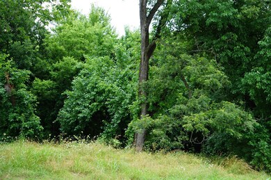 0 E 5th St, Bonham, TX 75418 - photo 4