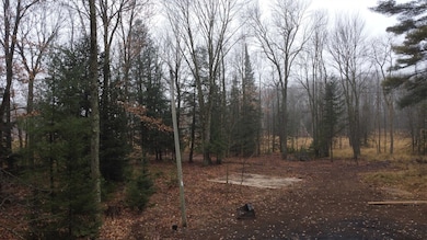 N10595 State Highway 45, Birnamwood, WI 54414 - photo 4