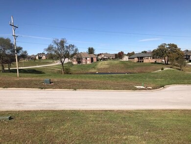 811 E Twin Maple Ct, Nixa, MO 65714 - photo 3