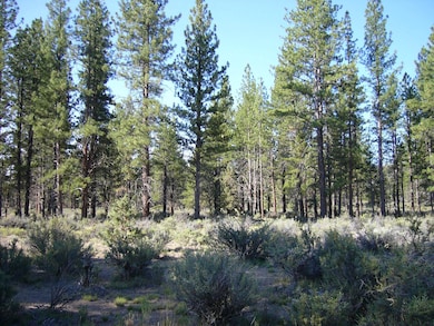 0 20 Acres Off Technor Robison Rd unit 20250909, MacDoel, CA 96058 - photo 7