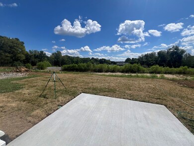Amazing backyard!
