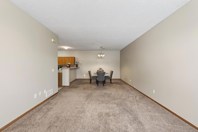 13040 Europa Trail Way N unit G, Hugo, MN 55038 - photo 5