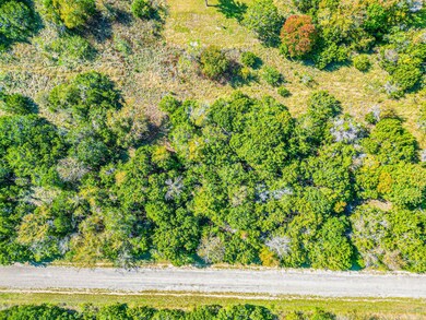 12140 Trailwood Dr, Whitney, TX 76692 - photo 3