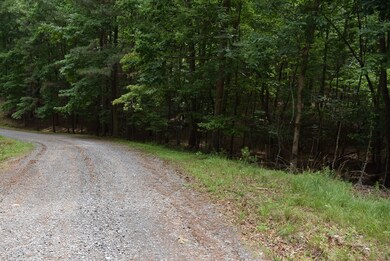 L2021+22 Garnet Dr, Ellijay, GA 30540 - photo 2