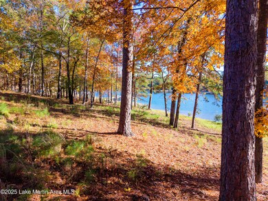 468 Luannes Way, Alexander City, AL 35010 - photo 7