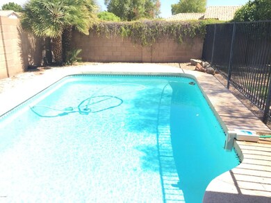 Fenced play pool