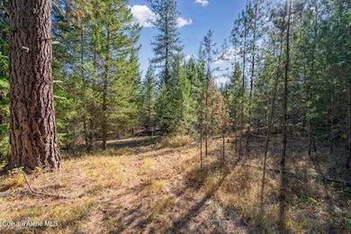 Lot 3 Amaze Way, Athol, ID 83801 - photo 5