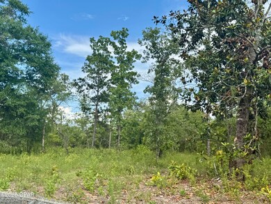 0 Baker Ave unit 774505, Alford, FL 32420 - photo 5