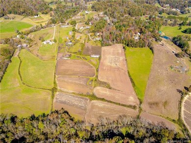 TBD Jones Rd, Leicester, NC 28748 - photo 7