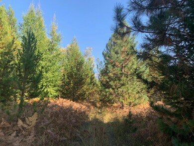 Nhn Whitepine Ln, Trout Creek, MT 59874 - photo 4