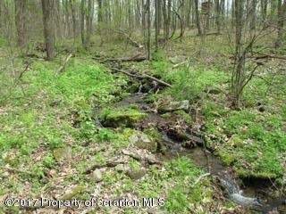 1710 Beaver Pond Rd, Clarks Summit, PA 18411 - photo 4