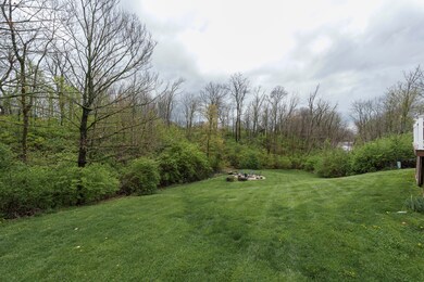 Redbud-8