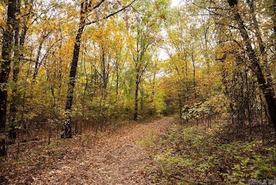 0 Cr 663, Oak Grove, AR 72660 - photo 5