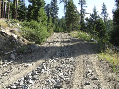 0 unit 24358834, Sumpter, OR 97877 - photo 6