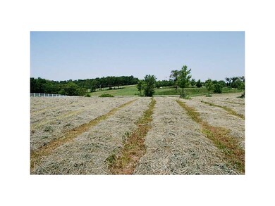 . View from the top of the ridge, looking north an