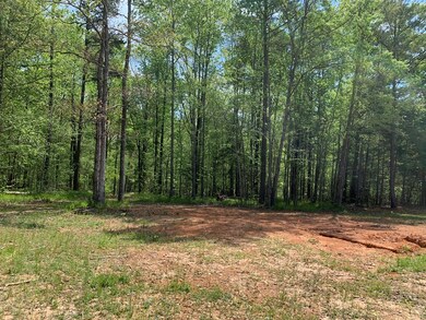 3672 Thomson Hwy, Lincolnton, GA 30817 - photo 3