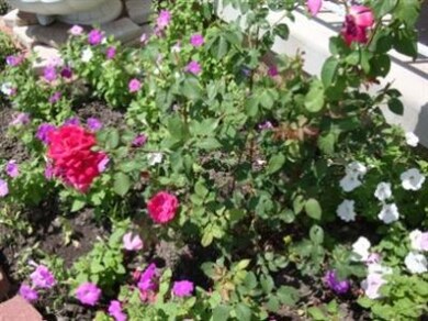 200 W 127th Place, Crown Point, IN 46307 - photo 7