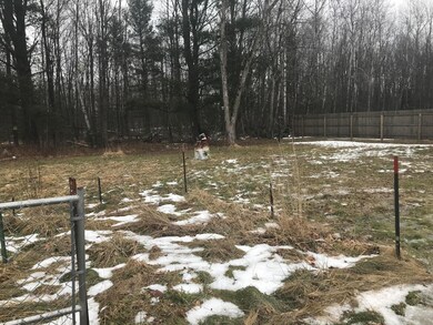 4090 N Grow Rd, Stanton, MI 48888 - photo 7