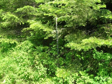 79 Bugling Elk Ln Lot D, Weippe, ID 83553 - photo 6