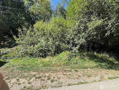 3628 Creek View Ct SE, Parkwood, WA 98366 - photo 3