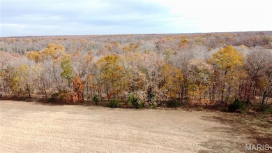 Tract 2 Polston Ln, Hickory Grove Township, MO 63357 - photo 2