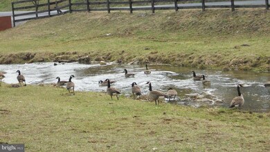 390 Brook Creek Rd, Toms Brook, VA 22660 - photo 4