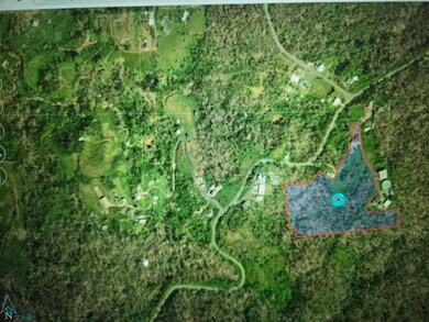 RD186 KM13 Guzman Arriba, Rio Grande, PR 00721 - photo 7