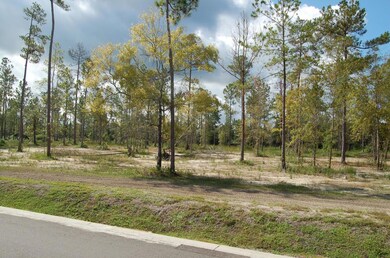 294 Honey Branch Ln, St. Augustine, FL 32092 - photo 7