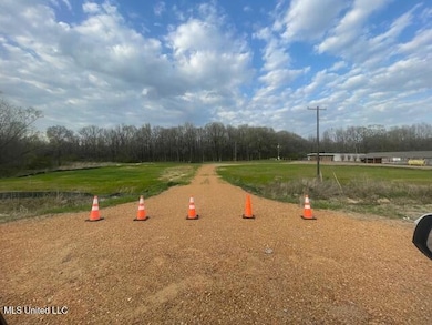 15763 Highway 4 E, Senatobia, MS 38668 - photo 4