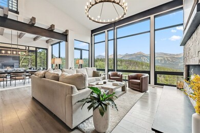 2520 Boreas Pass Rd, Breckenridge, CO 80424 - photo 5