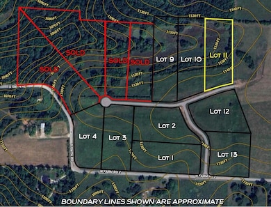 Lot 11 Pleasant View Rd, Brighton, MO 65617 - photo 2