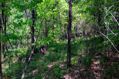 TBD S Highway 61, Vicksburg, MS 39180 - photo 6