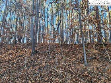 0 Bowles Farm Rd, Statesville, NC 28625 - photo 4