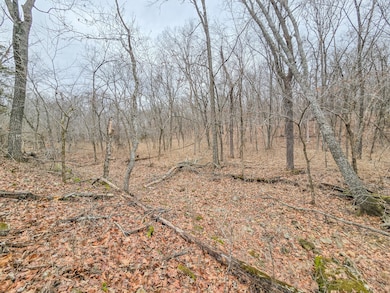 000 W Hwy, Wheatland, MO 65779 - photo 2