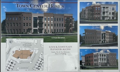 3171 Setting Sun Dr unit 207, Thompsons Station, TN 37179 - photo 4