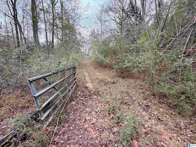 0 Ellison Rd, Jemison, AL 35085 - photo 2